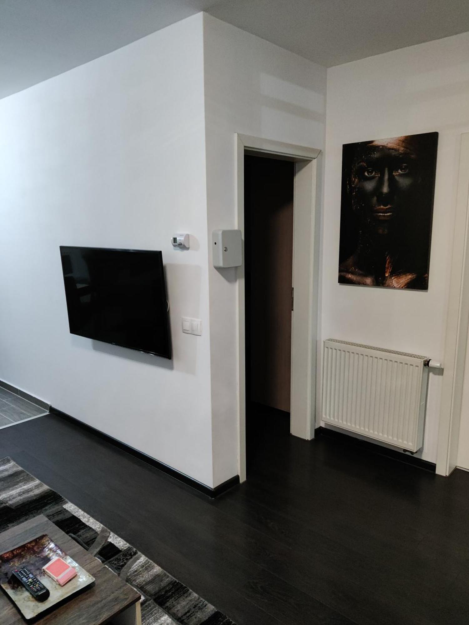 Avangarden Apartment Braşov Rum bild